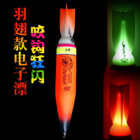 EVA远投漂 闪烁变色大浮力超亮夜光漂夜光漂电子浮漂夜钓鱼漂渔具