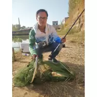28调鲫鱼竿超轻超细鱼竿手竿碳素长节杆极细台钓竿钓竿钓鱼竿37调
