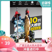 碳素28调19调超轻超硬龙赛尔8.1米台钓竿长节鱼竿套装竿