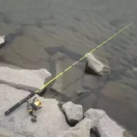 超轻超细超硬调直柄钓鱼竿海杆海竿实心矶钓竿碳素路亚竿套装