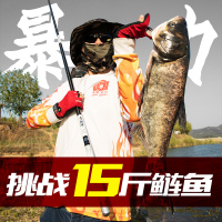 沃布伦鱼竿超轻超硬手竿钓鱼竿鲫鱼 鲤鱼竿28 19调5H6H碳素台钓竿