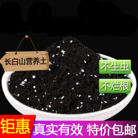 营养土绿萝多肉君子兰通用种花养花种菜专用花土壤松针土花肥花卉