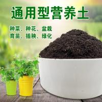 通用型营养土种植泥土土壤种花种菜肥料土多肉颗粒搭配花肥花卉土