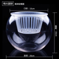 特大号圆球(送深定植篮) 中等 玻璃花瓶 水培植物玻璃瓶绿萝花瓶玻璃花盆圆球水养鱼缸器皿容器