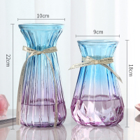 [二件套]欧式渐变花瓶玻璃花瓶透明彩色水培植物富贵竹干花摆件 22收腰+南瓜折纸(蓝紫色) 中等