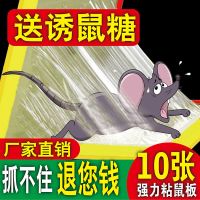 强力粘鼠板捕鼠胶沾捉抓老鼠贴家用酒店防鼠灭鼠驱鼠药胶一窝端|10张粘鼠板[送10包诱鼠剂]款