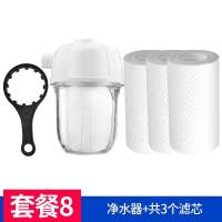 燃气热水器清洗工具除垢神器电热水器清洗水垢柠檬酸除垢剂食品级|除垢净水器+3滤芯+滤瓶扳手