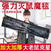老鼠贴粘鼠板力家用沾捉抓胶捕鼠神器黏一窝端加大厚灭鼠魔毯|粘鼠魔毯贴3张[经济装]