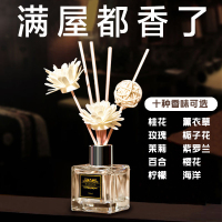 [10味留言可选]空气清新剂家用卧室香薰厕所除臭卫生间清香剂[指定香型请备注,否则随机]