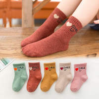 热秋儿童袜子宝宝男纯棉女童秋冬女1-3-6-8-10岁男童中筒袜冬季潮