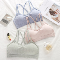 热卖韩版彩棉学生美背交叉裹胸内衣少女吊带性感小蕾丝抹胸文胸女