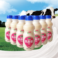 荷润乳酸菌饮品草莓味含乳饮料酸奶儿童牛奶340mlx12瓶整箱早餐奶