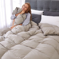 绘窝(HuiWo)家纺 羽绒被白鸭绒被鹅绒被宾馆被子被芯冬被
