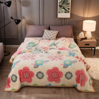 绘窝(HuiWo)家纺 保暖加绒加重冬款亲肤毯子