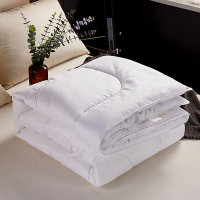 绘窝(HuiWo)家纺 新款磨毛压花整张棉冬被加厚保暖