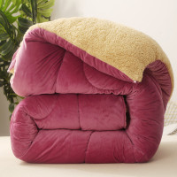 绘窝(HuiWo)家纺 新款水晶绒加重加厚保暖冬款羊羔绒双面绒冬被 被芯