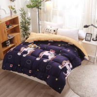 绘窝(HuiWo)家纺 新款洛卡棉加重加厚保暖冬款羊羔绒单面绒冬被 被芯