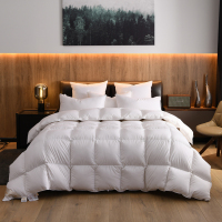 绘窝(HuiWo)家纺 柔赛丝平面 羽绒被鹅绒被全棉斜纹立衬3色