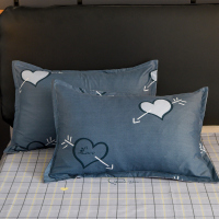 绘窝(HuiWo)家纺 亲肤棉芦荟棉单品枕套一对 简约枕套一对装 加厚加大枕头套48*74cm两只装床上用品