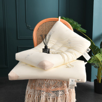 绘窝(HuiWo)家纺 低枕扁枕芯48*74cm 护颈椎单人双人家用助睡眠低枕护颈椎枕芯学生宿舍一对拍二