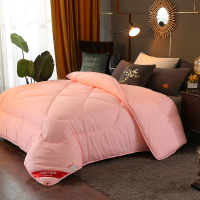 绘窝(HuiWo)家纺 整张羽丝绒护肤被被子被芯 秋冬加厚磨毛被芯春秋双人加大被子学生宿舍单人空调被