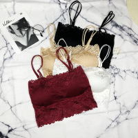 裹胸枣红酒红蕾丝美背结婚带可拆胸垫打底内衣女士背心防走光抹胸