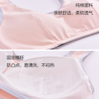 少女内衣女孩学生文胸高中初中生青春发育期无钢圈纯棉运动小背心
