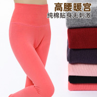秋裤女纯棉薄款高腰大码加长款衬裤美体线裤紧身打底裤可外穿秋季