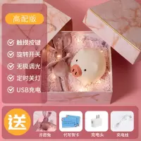 小猪硅胶小夜灯床头拍拍伴睡不插电520情人节礼物女夜光可爱台灯|夜明猪硅胶灯+充电头+许愿兔+拉菲草+礼品盒+礼品袋