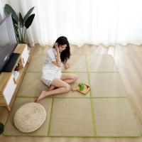 日式客厅地毯榻榻米地垫卧室拼接凉席茶几垫夏季床边儿童爬行垫子