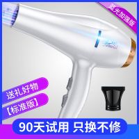 发廊电吹风家用大功率理发店大风吹风机学生宿舍吹头发的吹风筒|白色三插头大风力版2000w标配
