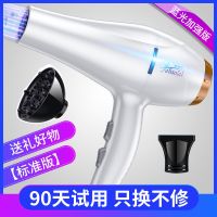 发廊电吹风家用大功率理发店大风吹风机学生宿舍吹头发的吹风筒|白色三插头大风力版2000w送大风罩