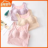 秋冬加绒加厚胖MM200斤无袖修身打底上衣女士保暖背心超柔绒防寒