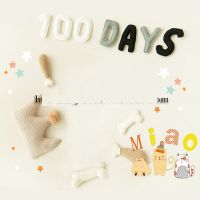 百天宝宝拍照背景布影楼儿童拍摄新生儿照相生日满月照摄影背景纸|5 1.2X1.5写真布