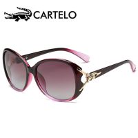 太阳镜女墨镜女潮明星款防紫外线眼镜女偏光户外太阳镜