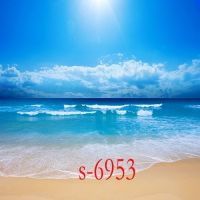 海景背景布背景墙女男主播背景布海边沙滩拍照背景墙纸3d背景|s-6953 2米宽2米