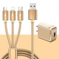 加长2米三合一数据线充电器插头typec手机快充电线3m|臻品纯铜:土豪金 [3米]一拖三线+充电头