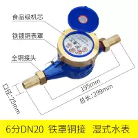 水表家用止回阀偷水器宁波自来水立式机械dn50螺纹防空转4分数字|DN20/6分铁罩铜接头(卧式)