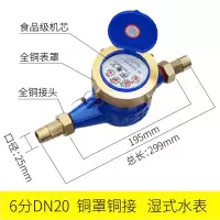 水表家用止回阀偷水器宁波自来水立式机械dn50螺纹防空转4分数字|DN20/6分铜罩铜接(国标)