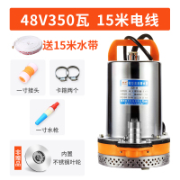 抽水泵12v直流农用灌溉48v水泵电动车家用60v小型抽水机|银色48V15米线+15米管