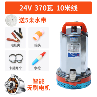 抽水泵12v直流农用灌溉48v水泵电动车家用60v小型抽水机|姜黄色智能无刷24V