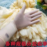 一次性薄牛筋手套出海采摘家务保洁卫生防护耐磨特技表演手套|L号7.5号20只适合掌宽9-10㎝