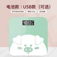称重可爱 女生称体重充电线体重计量器减肥专用秤称重器 人体秤|小绿猪 电池款