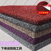 丝圈地垫门垫脚垫家用进门门口地毯厨房卫生间浴室防滑垫可定制