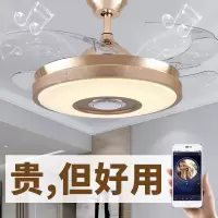 隐形风扇灯蓝牙音乐音响电扇灯带风扇吊灯餐厅吊扇灯家用餐厅客厅