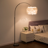 灯饰网红白色羽毛水晶立式落地灯客厅书房卧室床头台灯主播补光灯