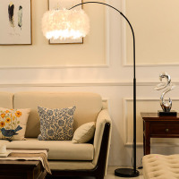 羽毛落地灯 卧室公主ins风网红灯台灯轻奢北欧客厅羽毛灯