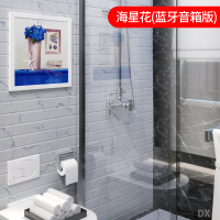 浴室折叠收纳柜放衣服神器卫生间壁画储物柜厕所免打孔置物架壁挂|DX海星和花(蓝牙音响款)