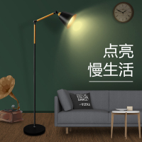 落地灯客厅卧室宜书房北欧轻奢现代台灯ins风立式家