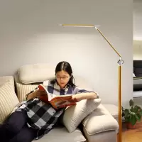 led护眼落地灯客厅卧室床头书房乐谱练琴专用遥控钢琴台灯